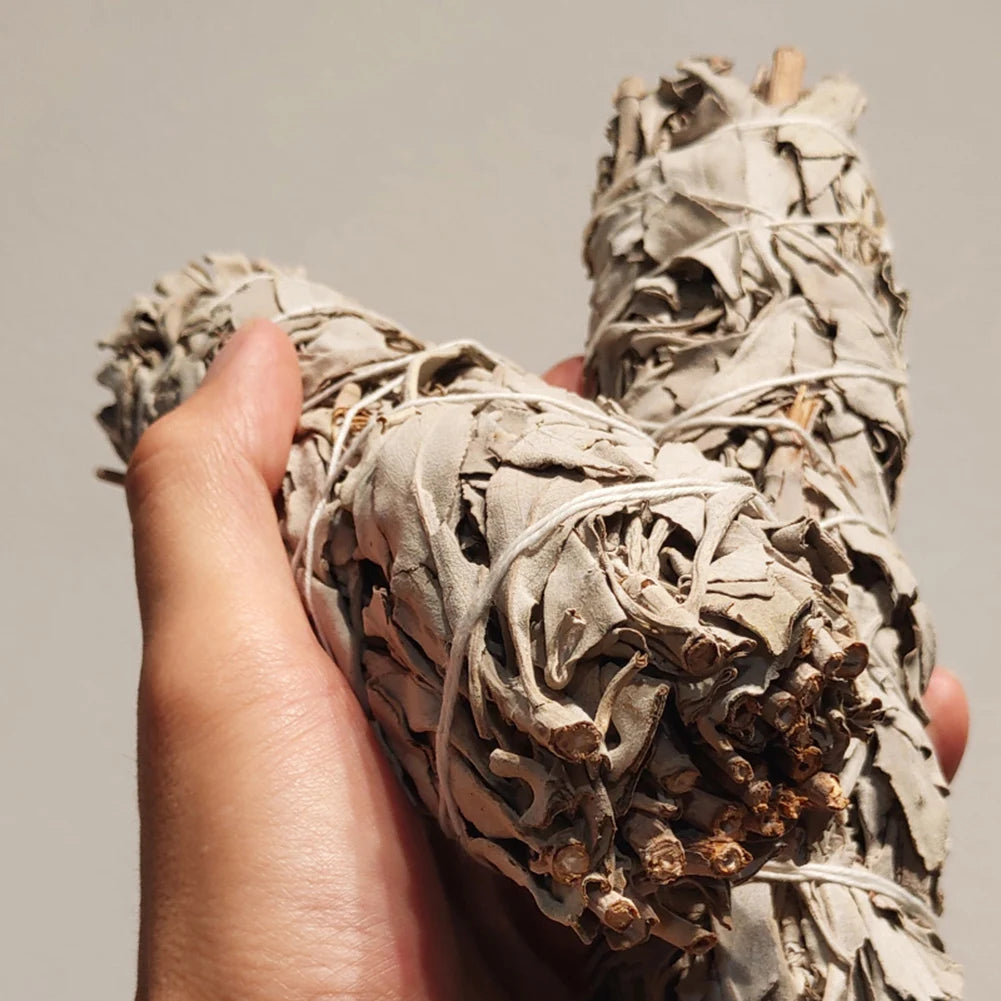 White Sage Smudge Sticks Bundle For Home Cleansing