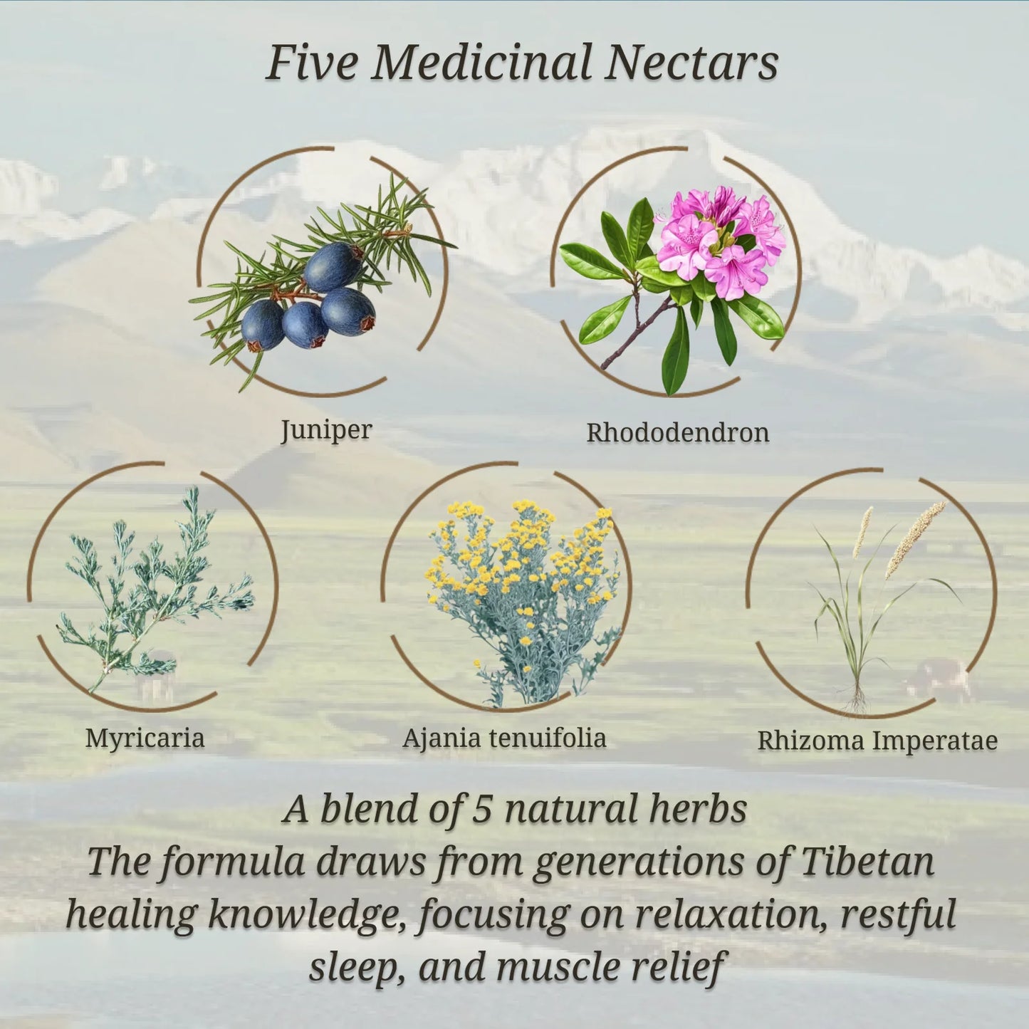 Qizheng Hiamalaya Tibetan Herbal Bath Bomb Gift Set