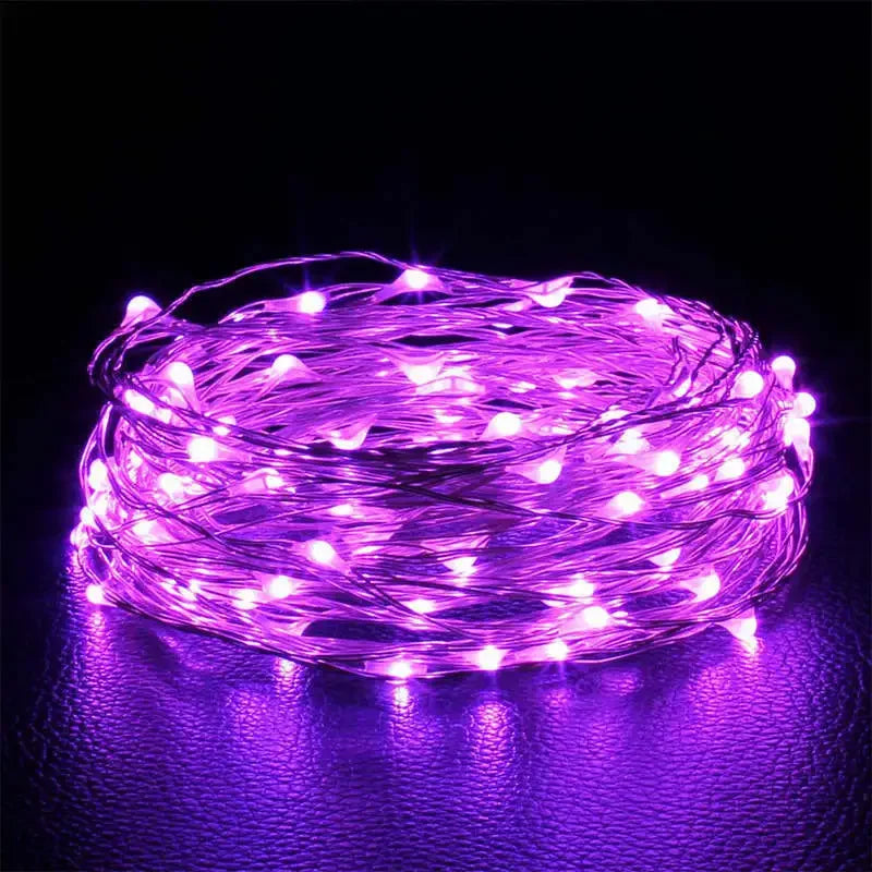 LED Fairy Lights String Battery Operated Indoor Home Garden Decor